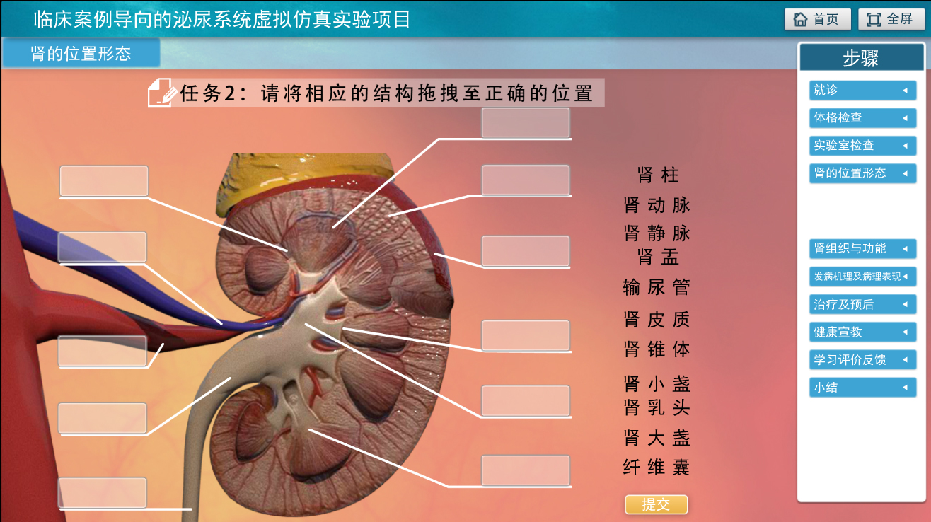 实验详情