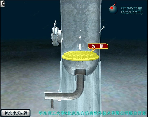 实验详情