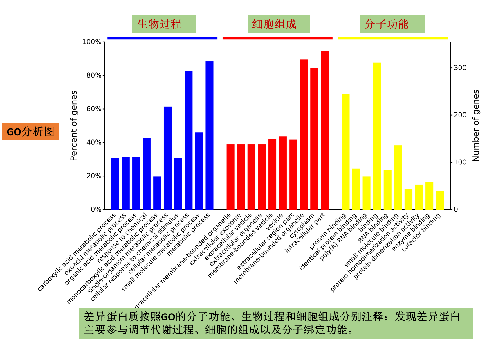 实验详情