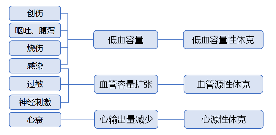 实验详情