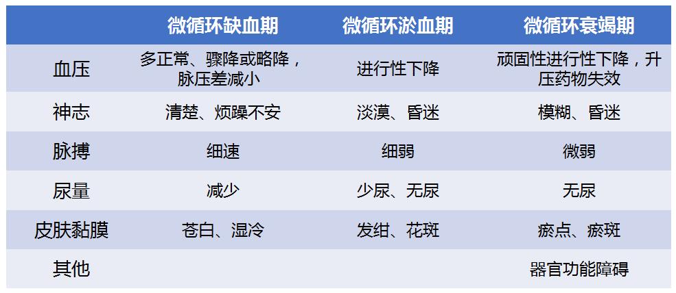 实验详情