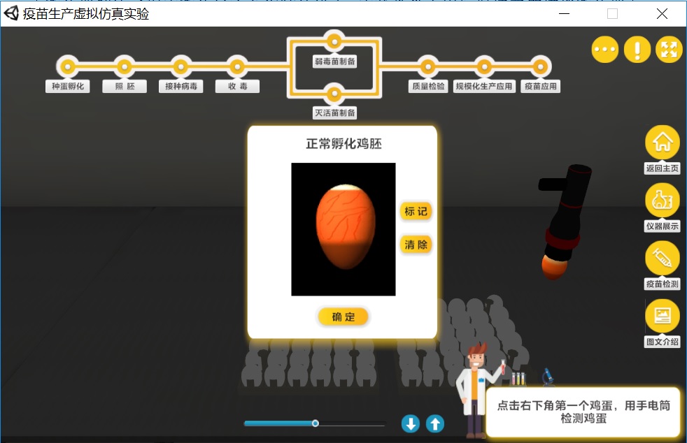 实验详情