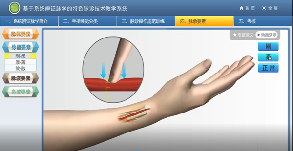 实验详情