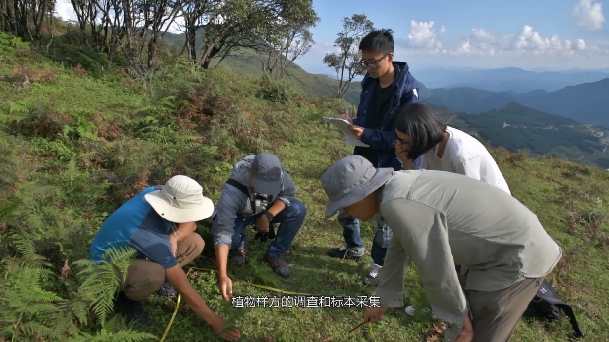 实验详情