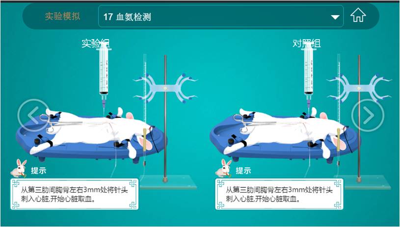 实验详情
