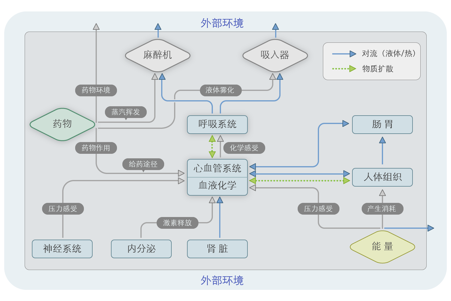 实验详情