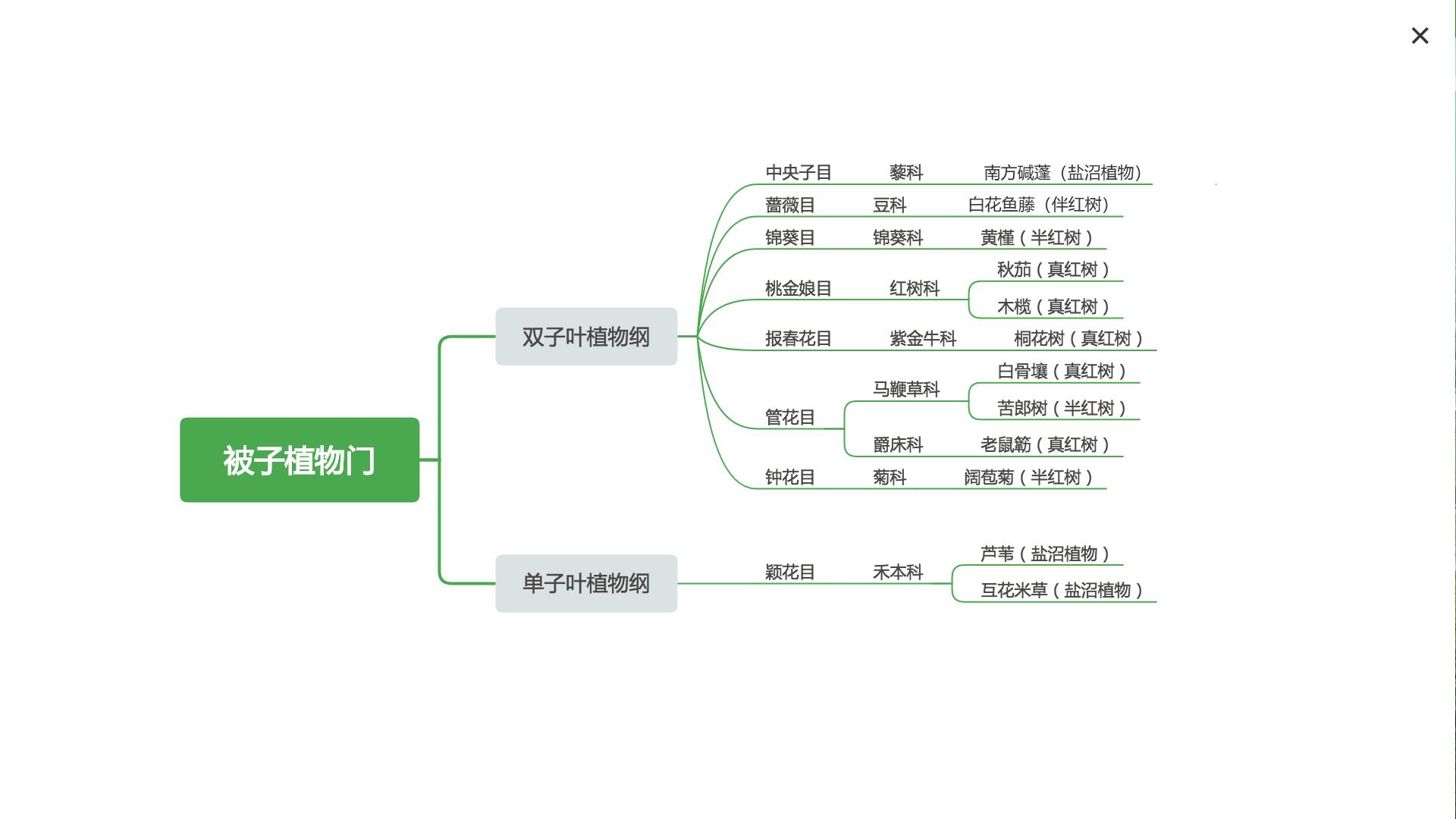 实验详情