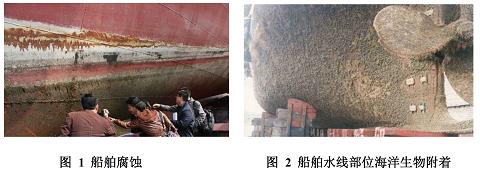 实验详情