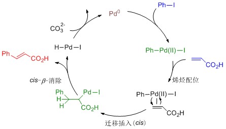 实验详情