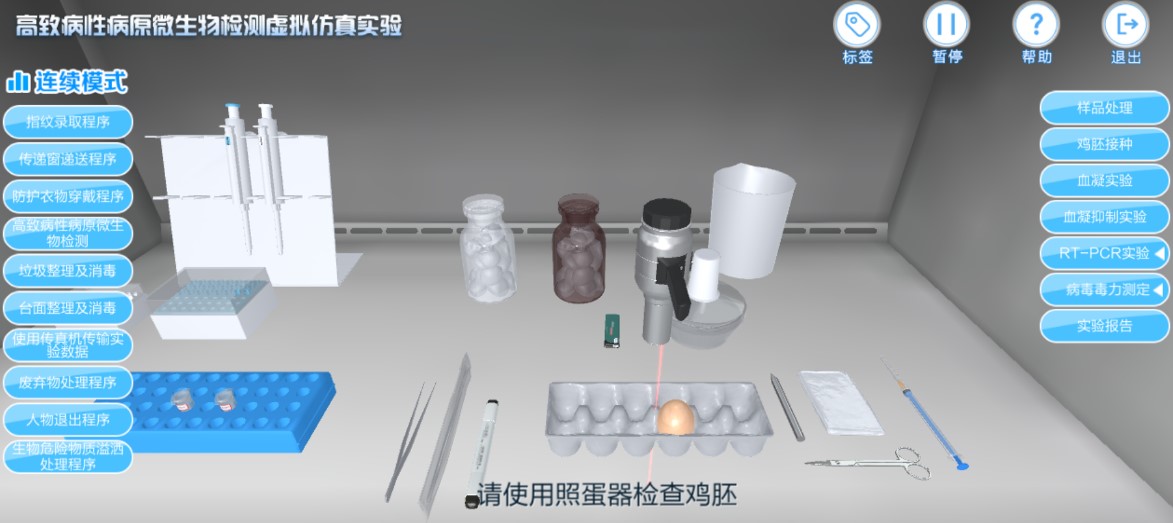 实验详情