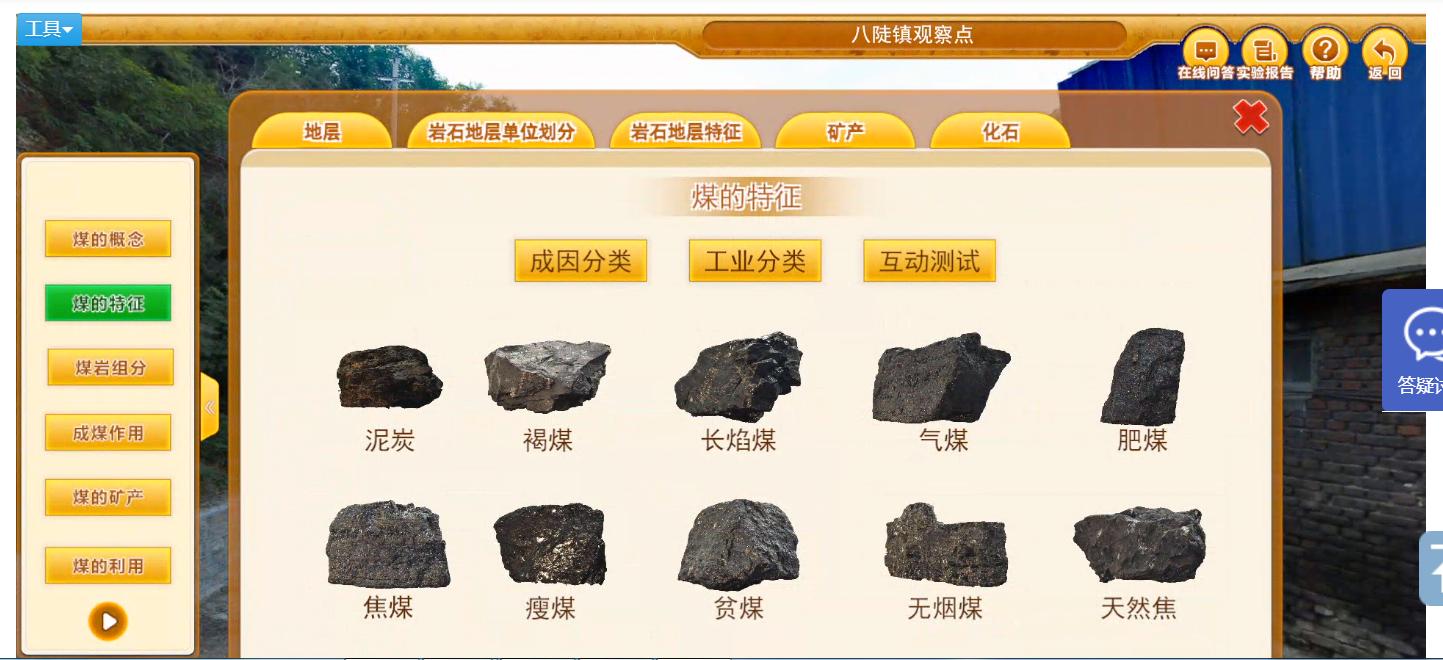实验详情