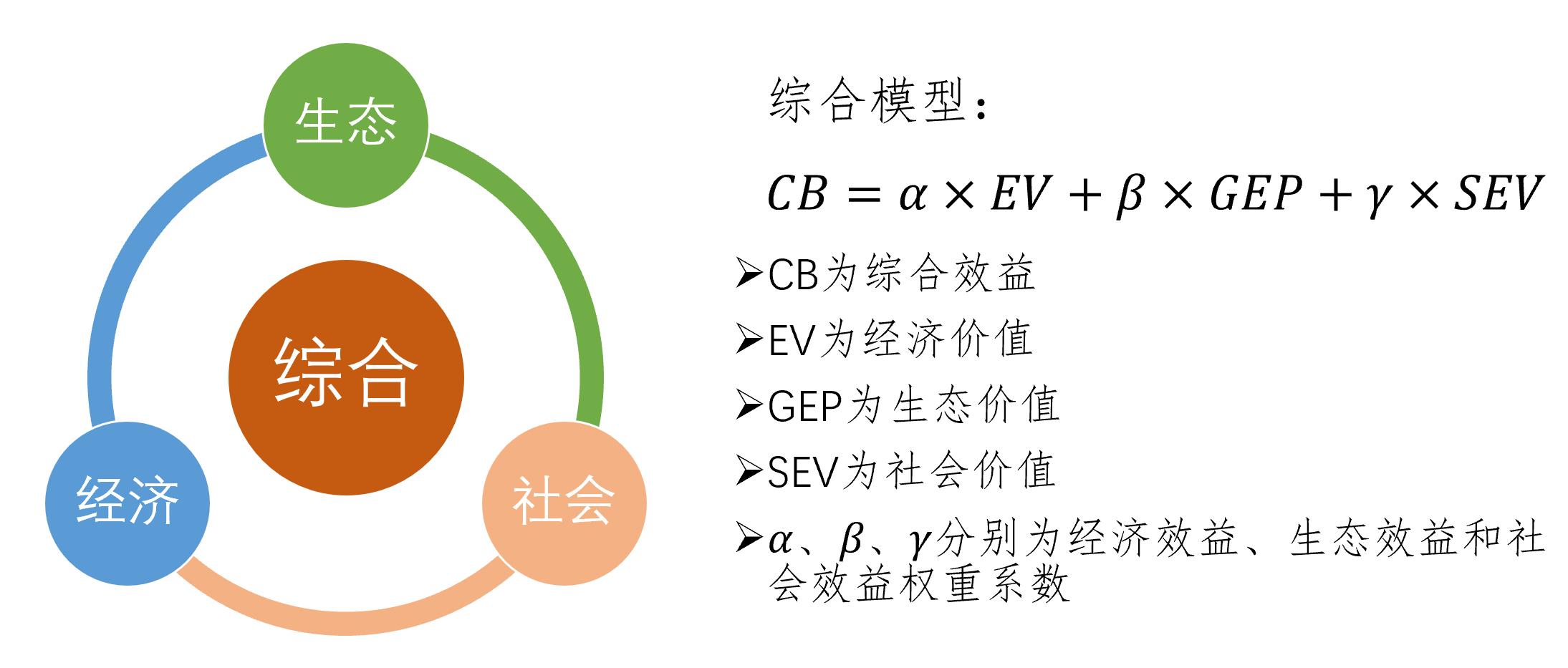 实验详情