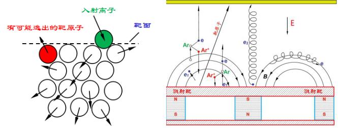 实验详情