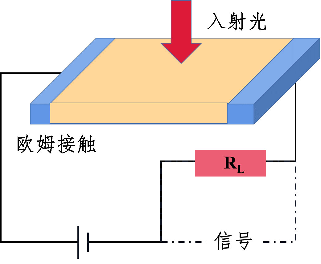 实验详情