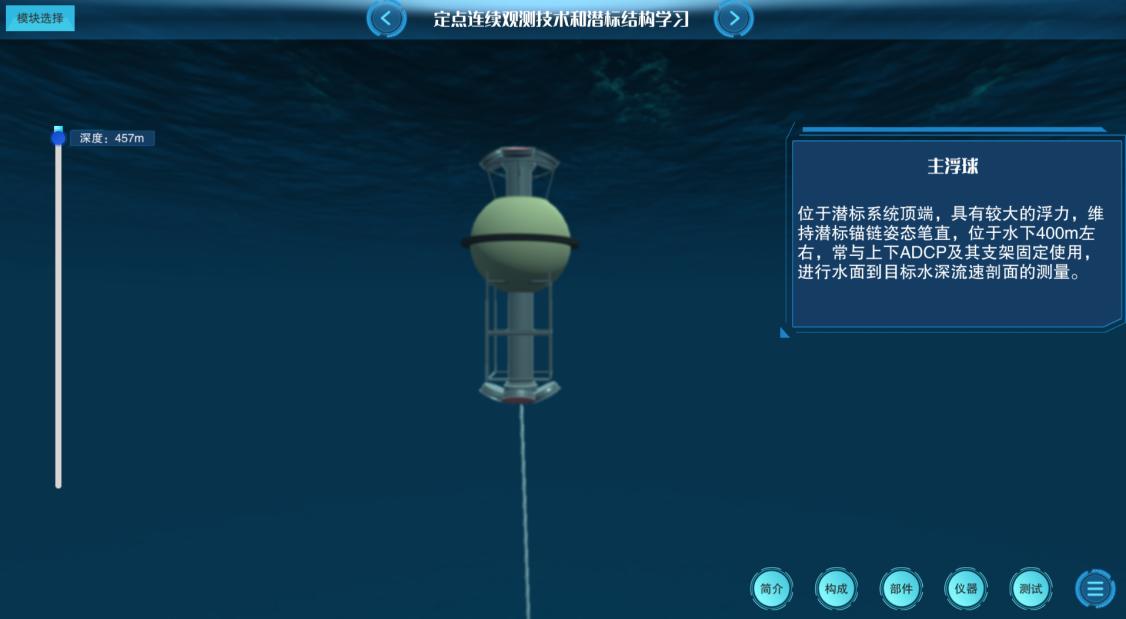 实验详情