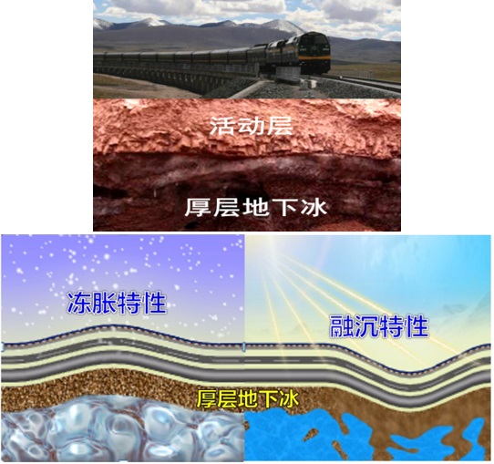 实验详情