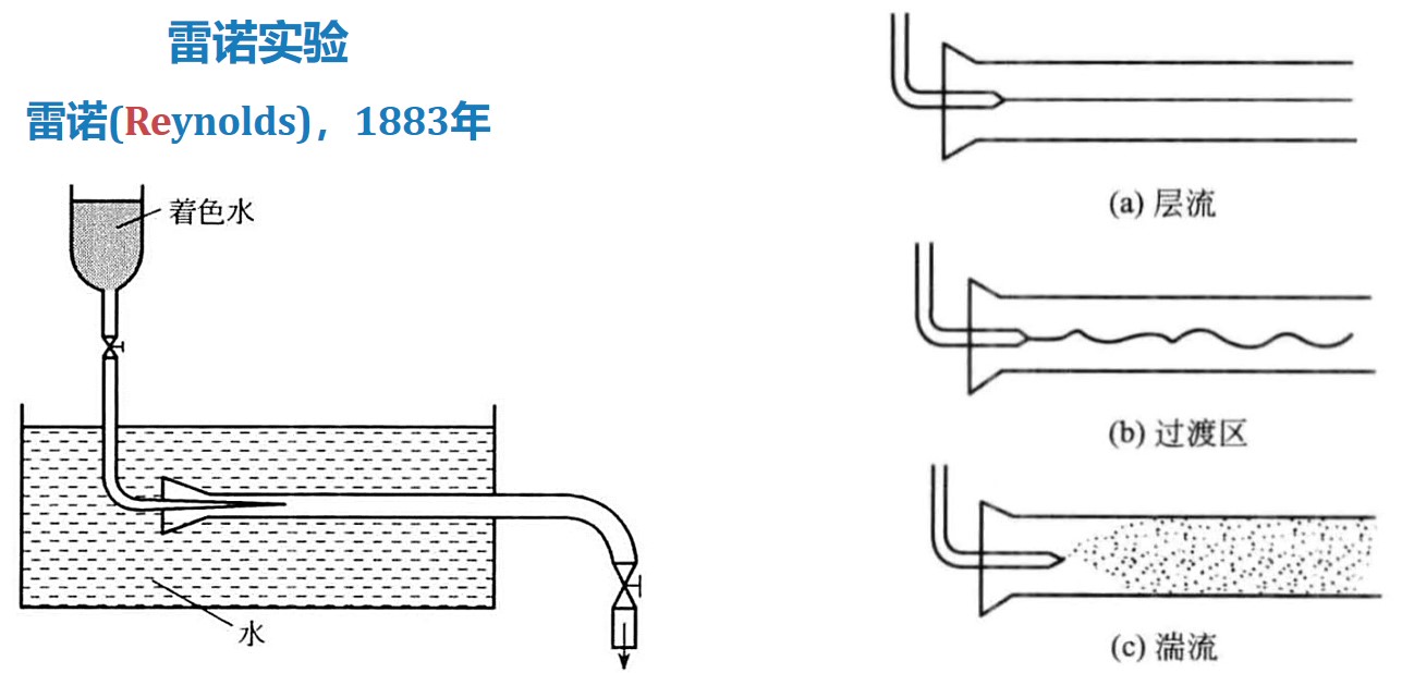 实验详情