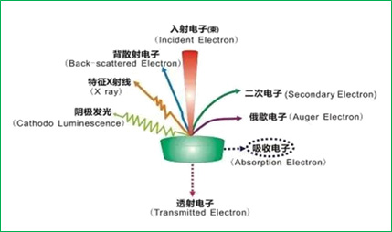 实验详情