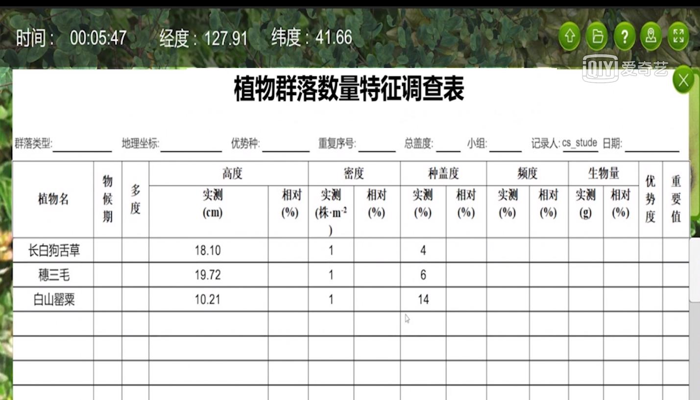 实验详情