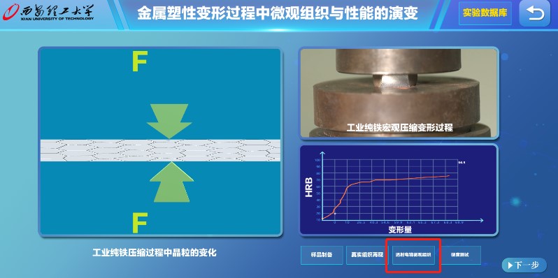 实验详情