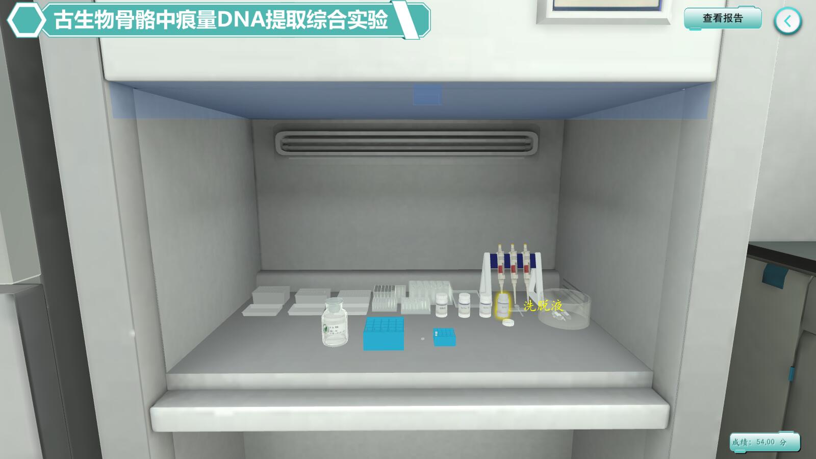 实验详情