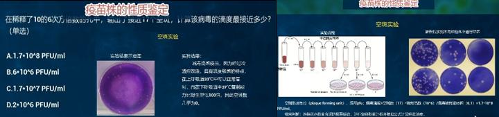 实验详情