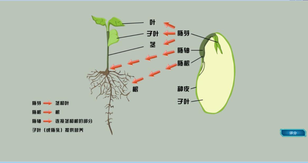 实验详情