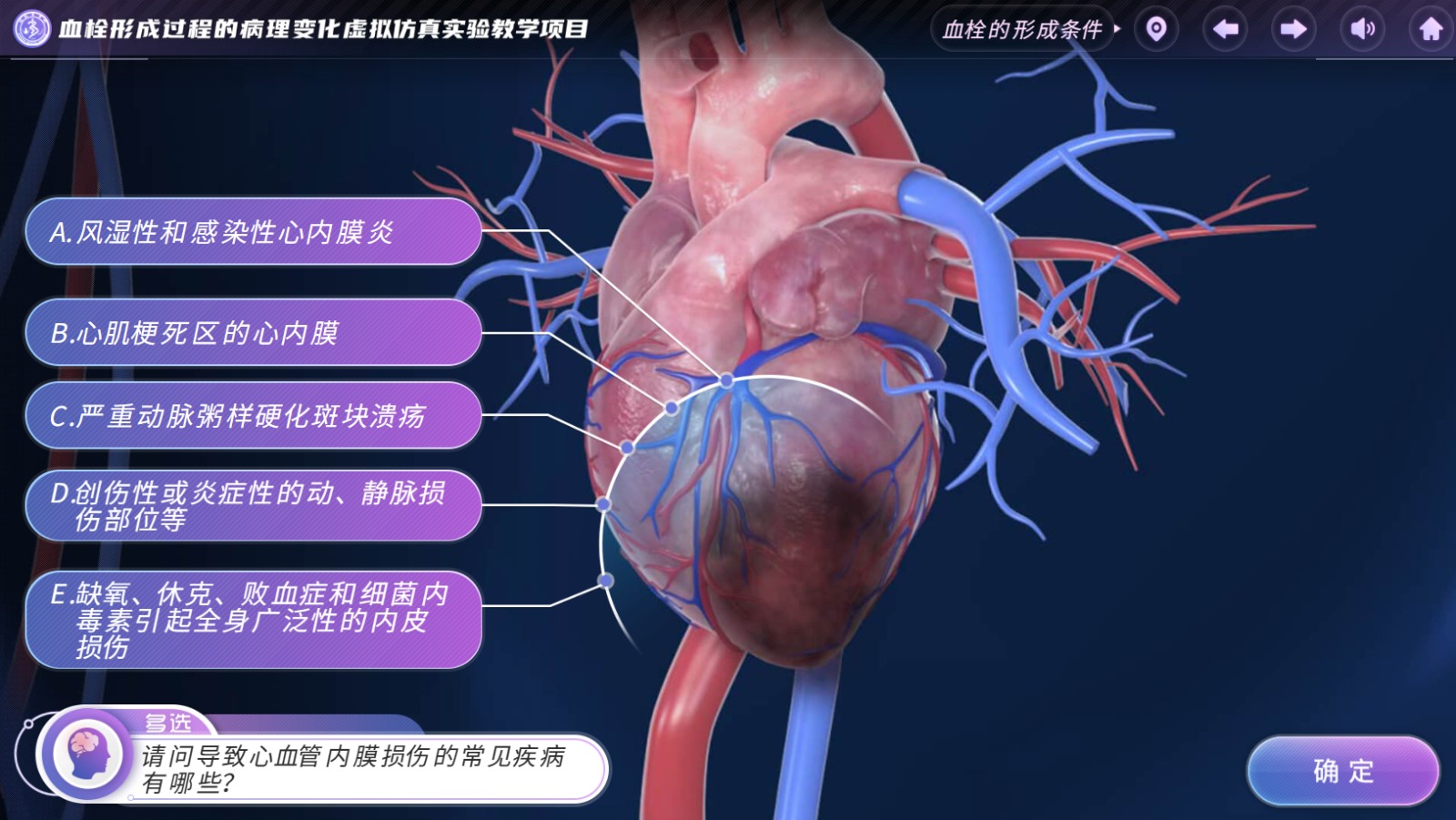 实验详情
