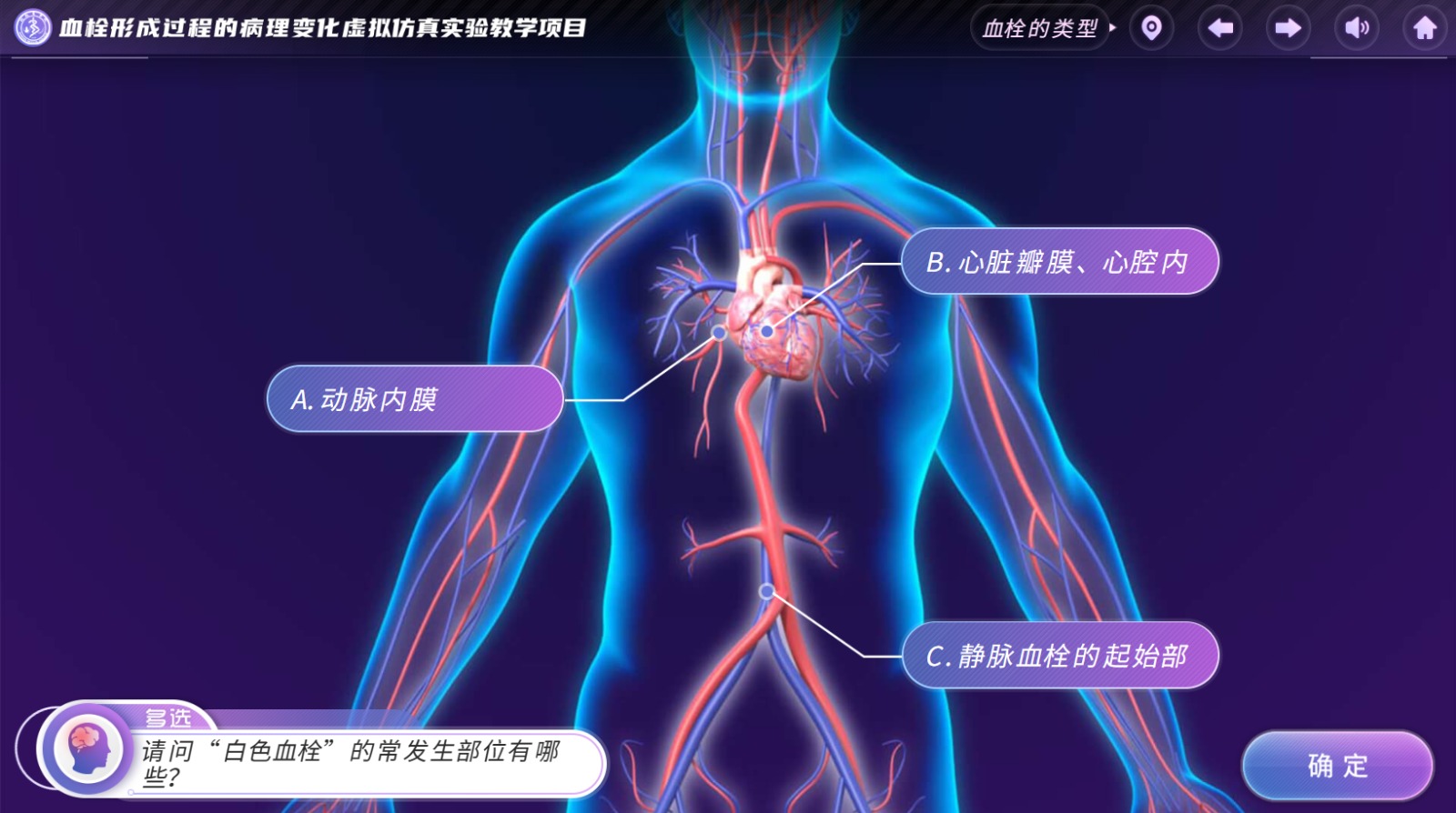 实验详情