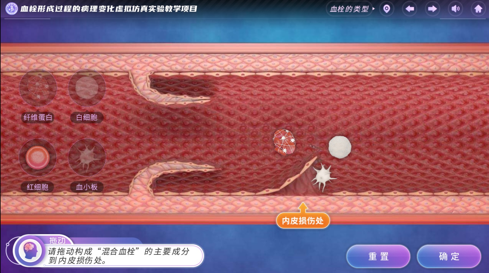 实验详情