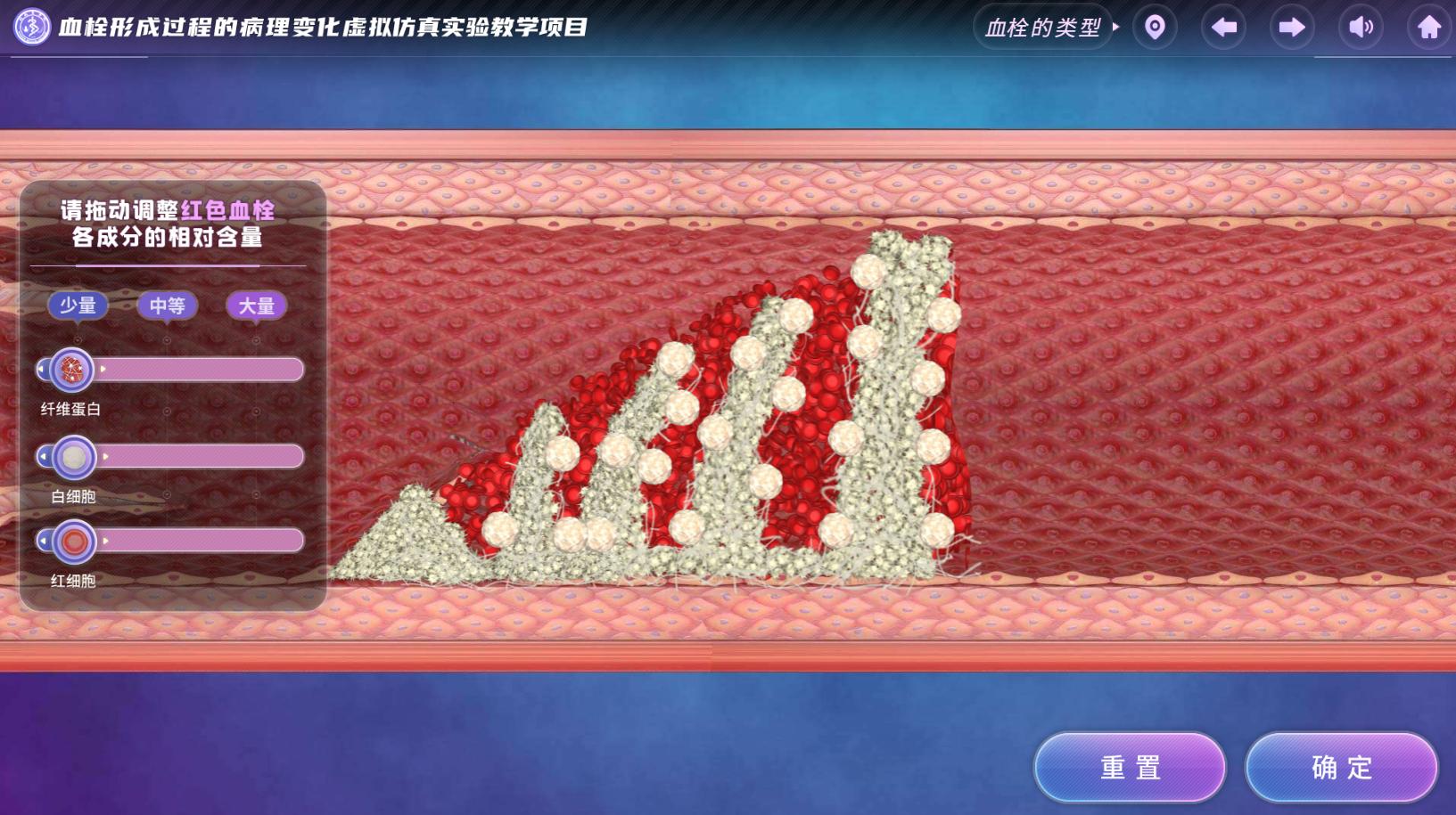 实验详情