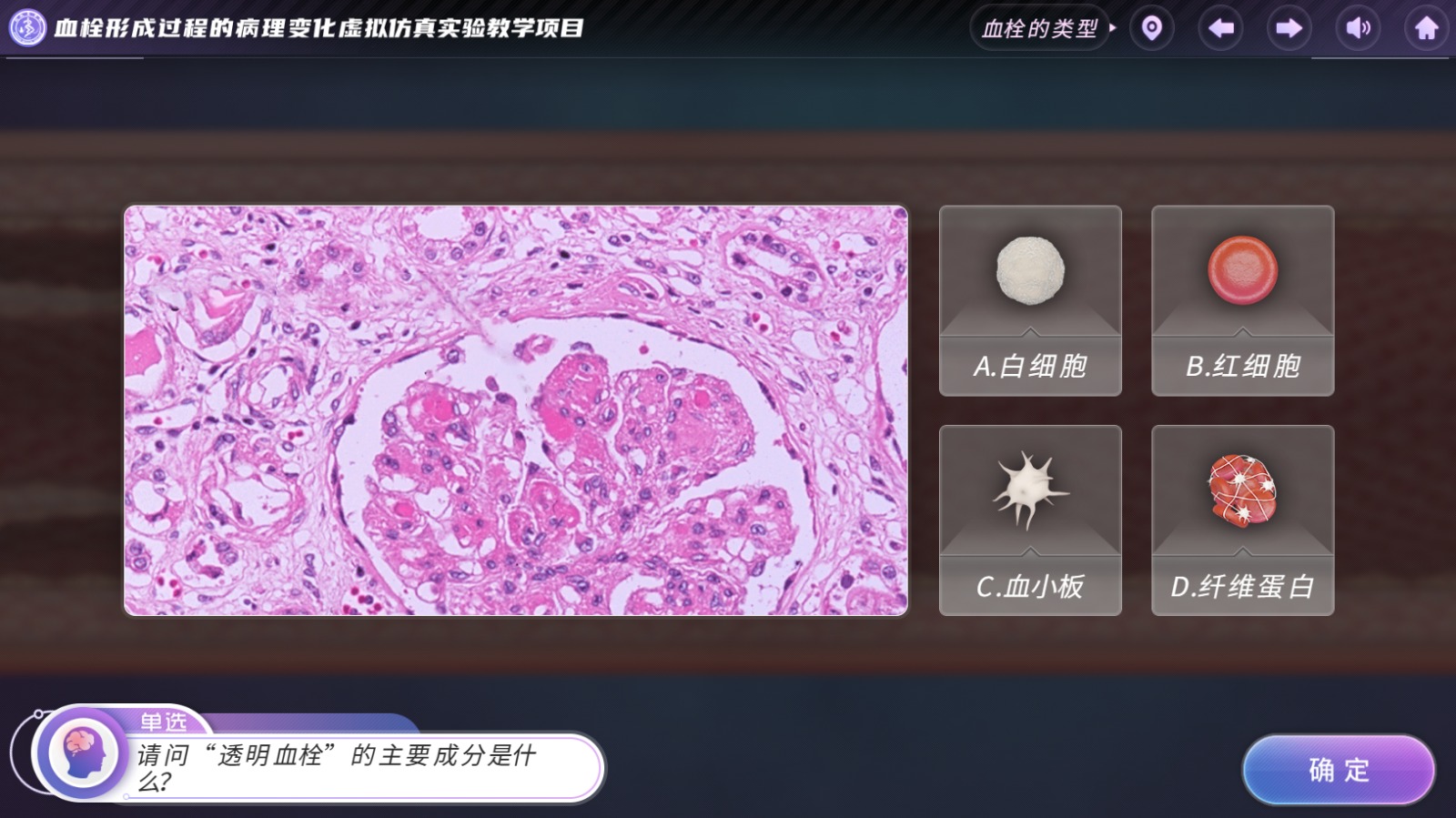 实验详情