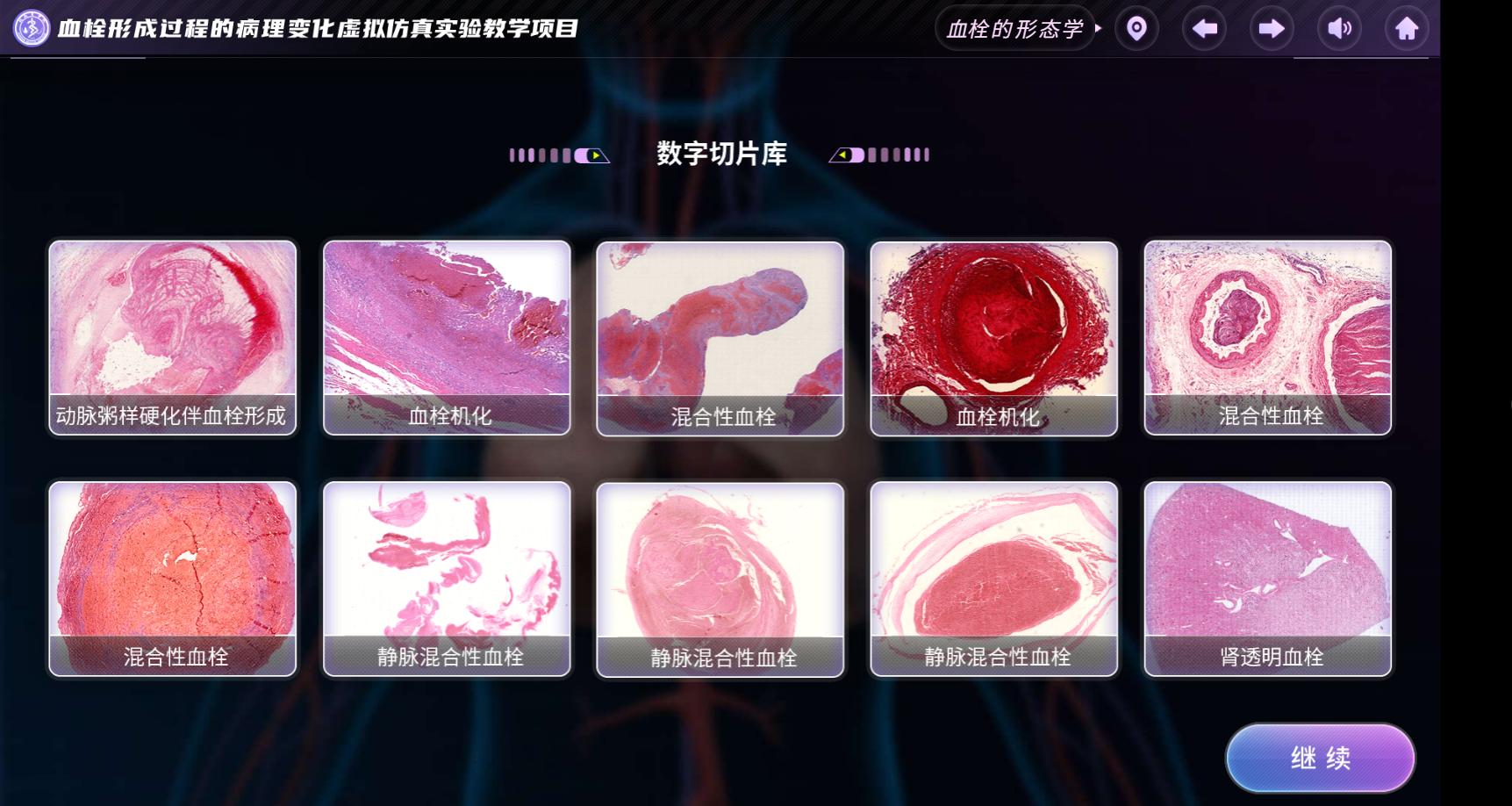 实验详情