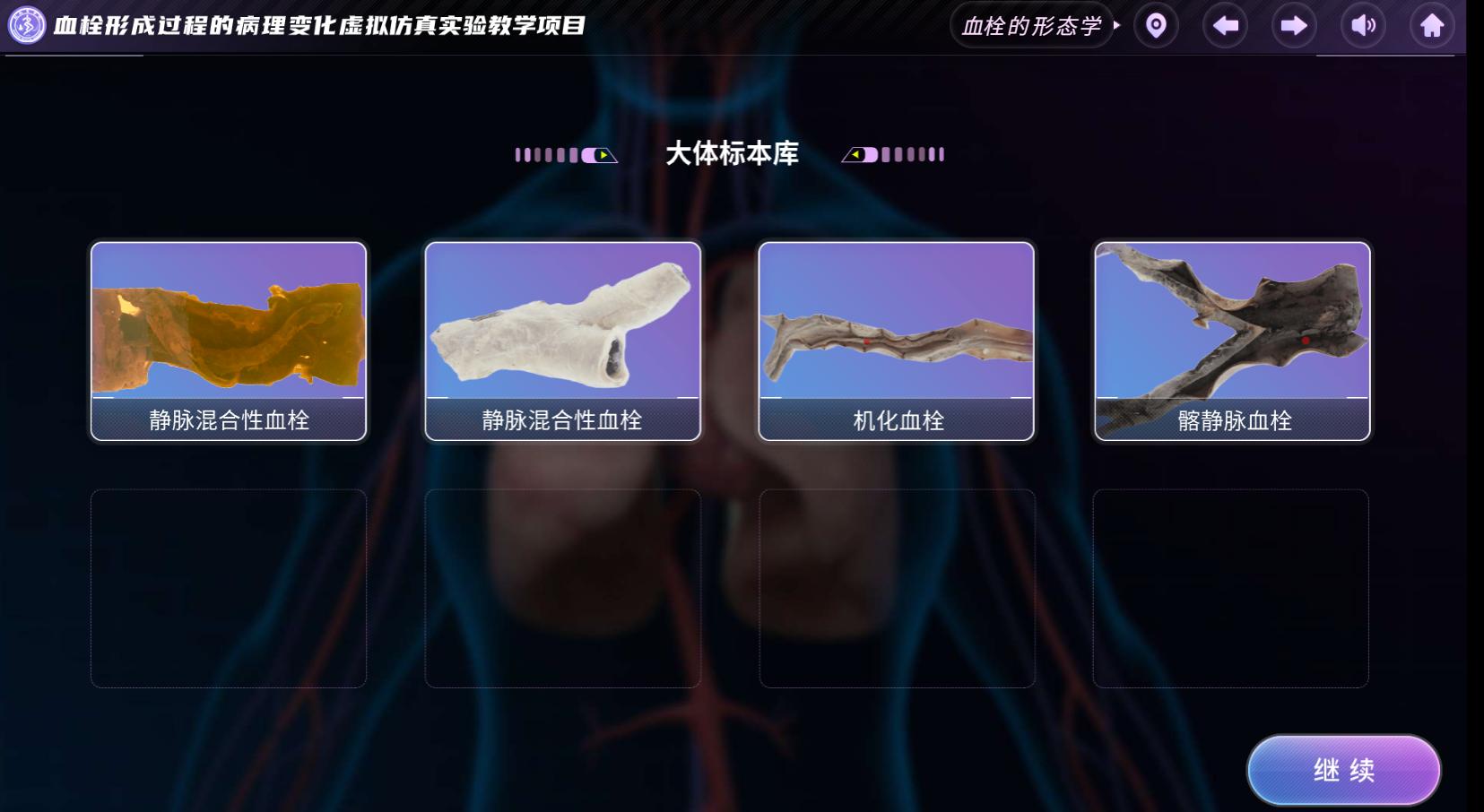 实验详情