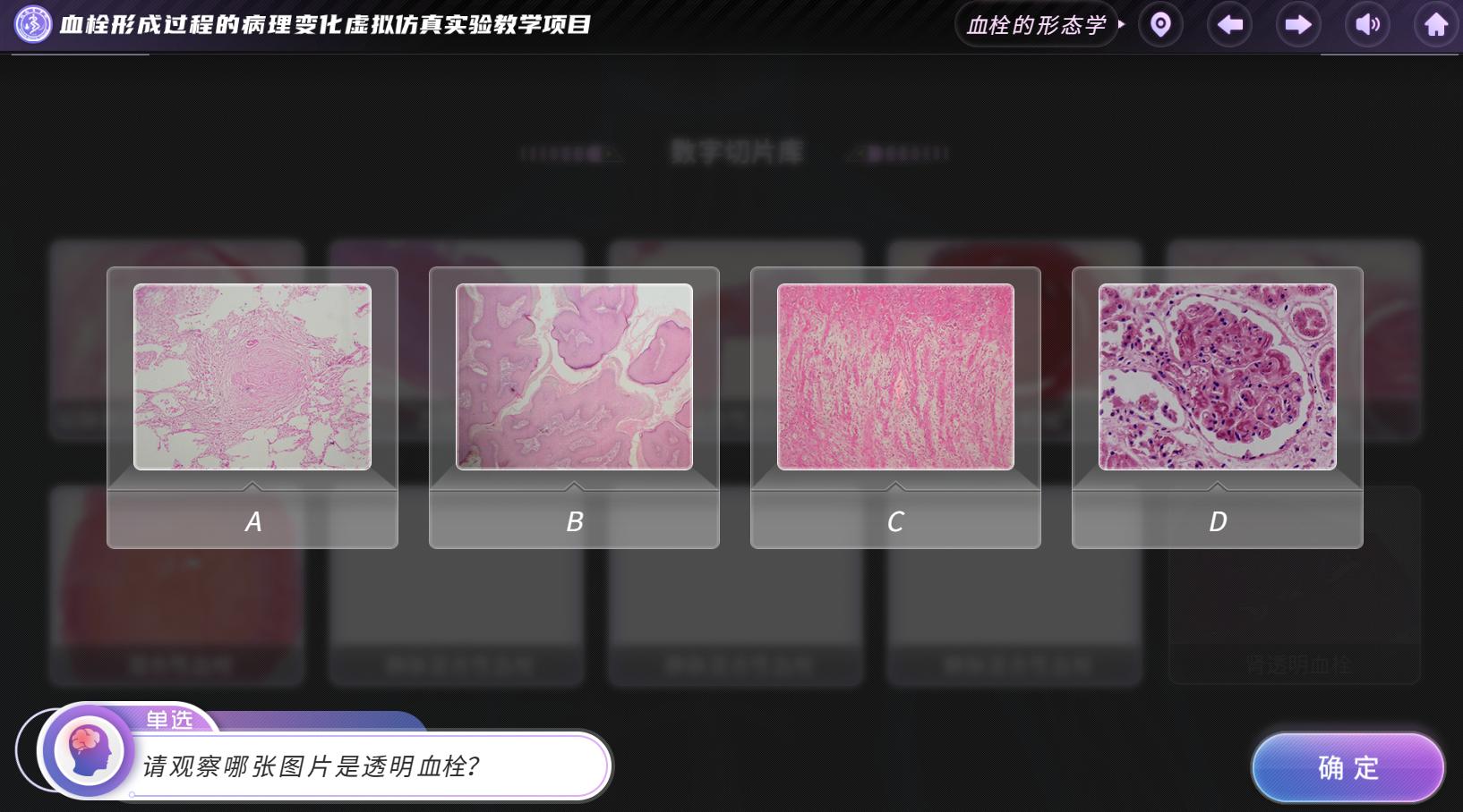 实验详情