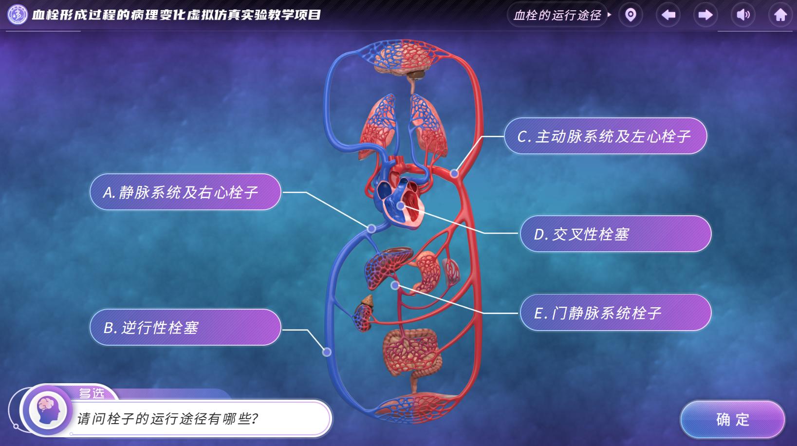 实验详情