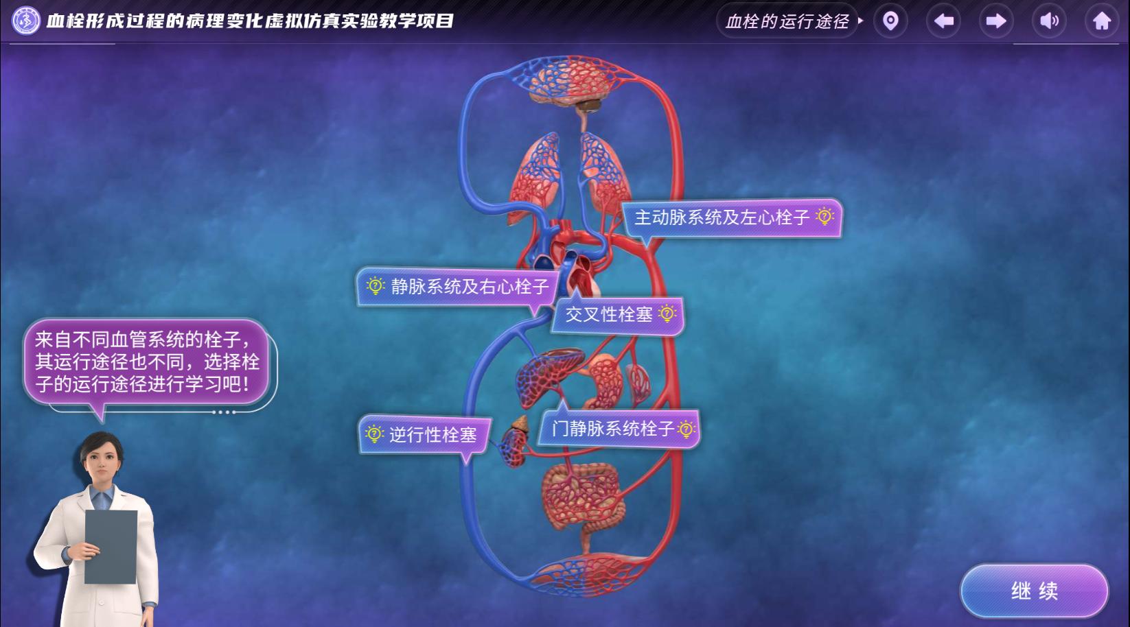 实验详情