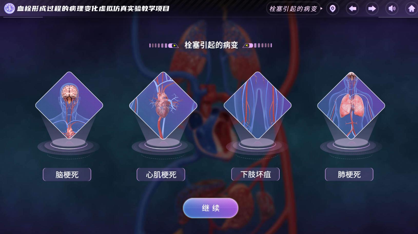 实验详情