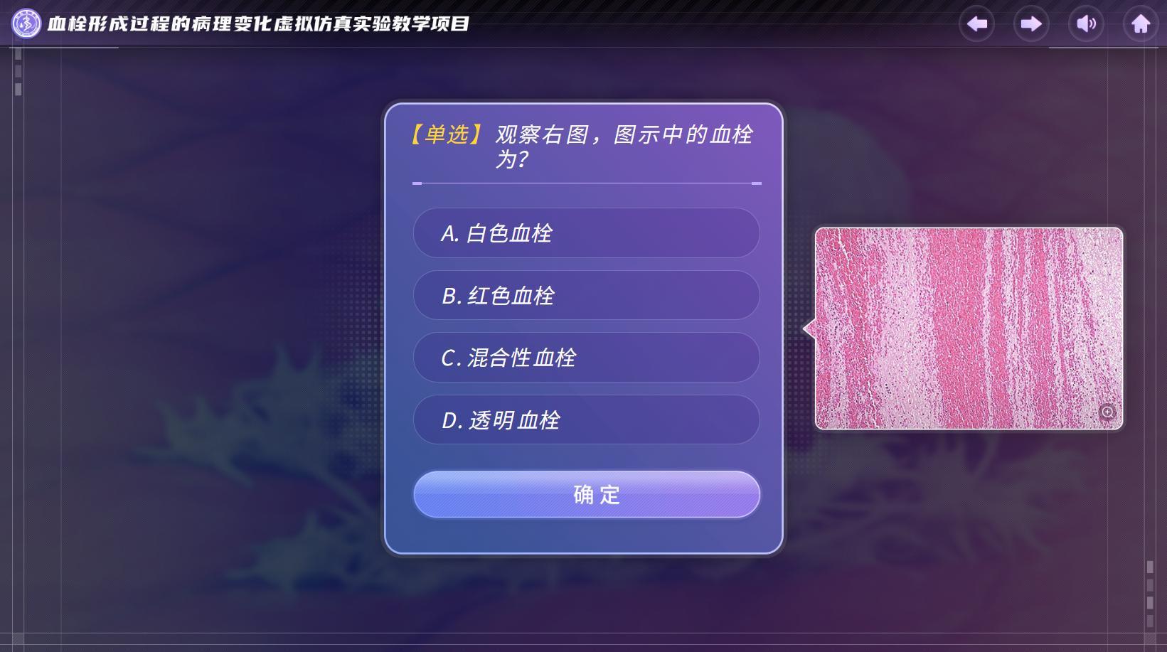 实验详情