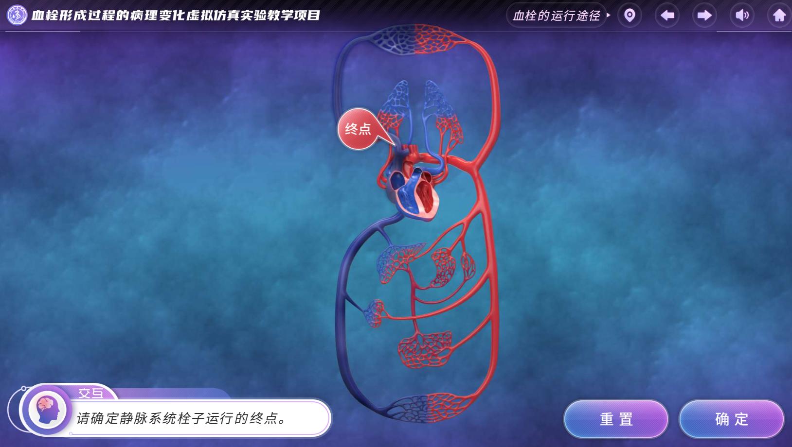 实验详情