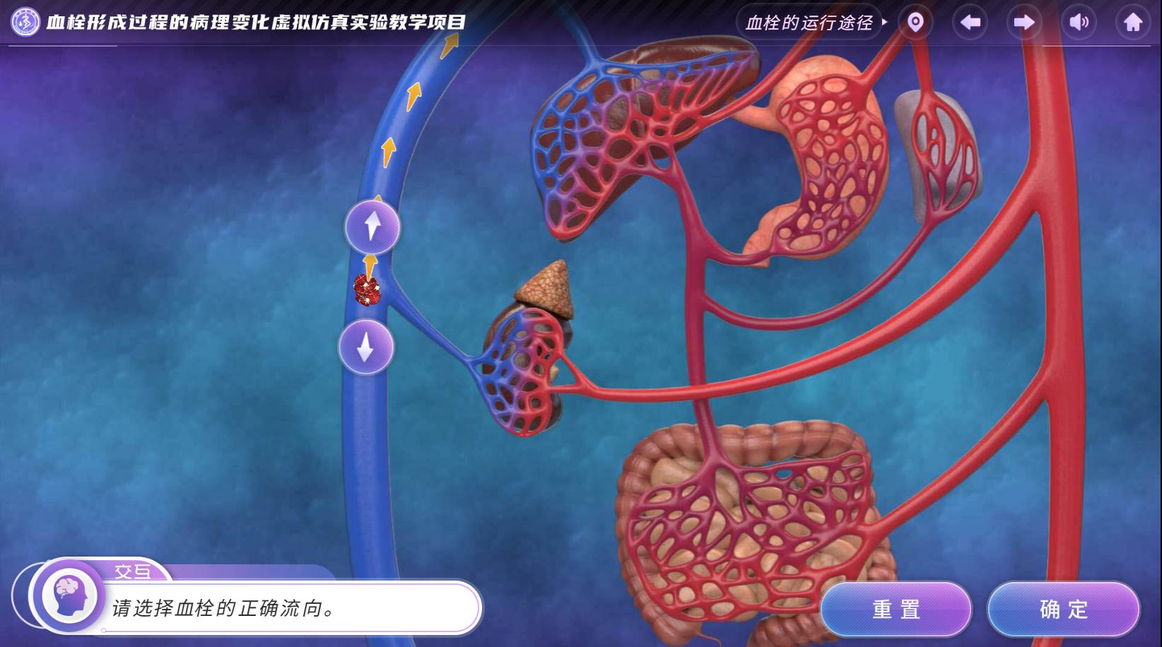 实验详情