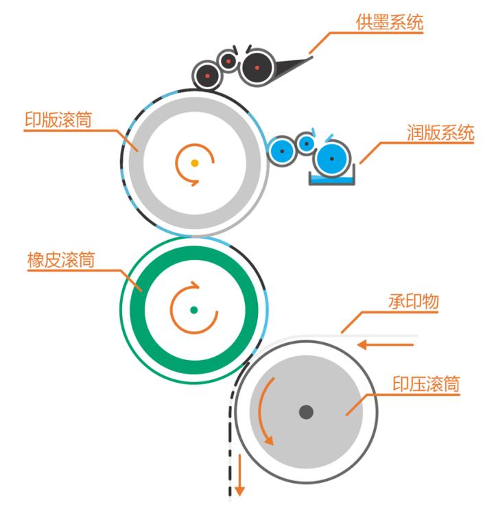 实验详情