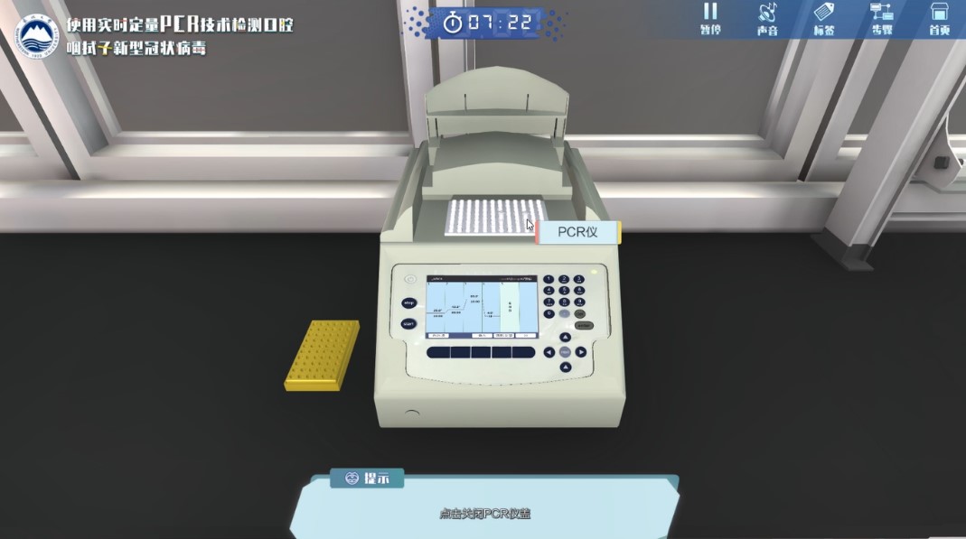实验详情