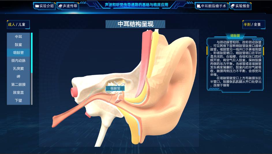 实验详情