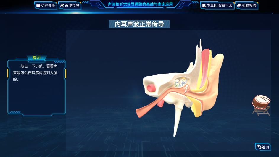 实验详情