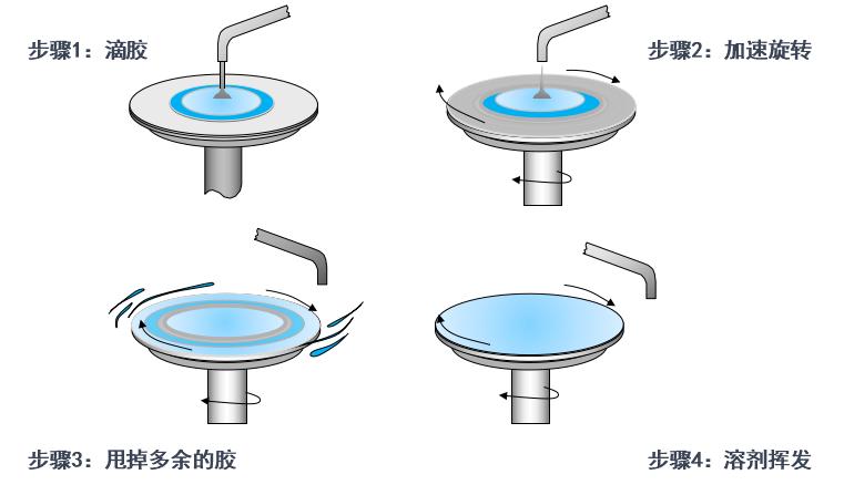 实验详情