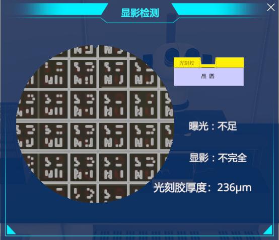 实验详情