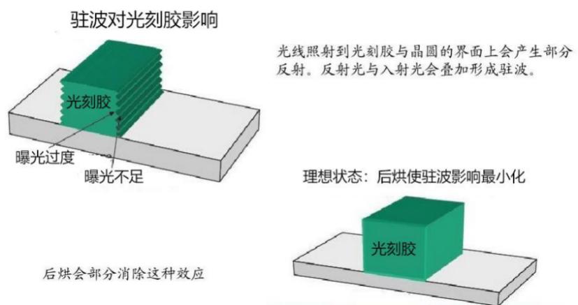实验详情
