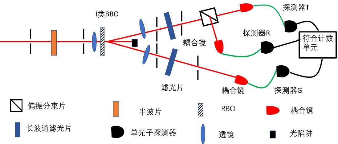 实验详情