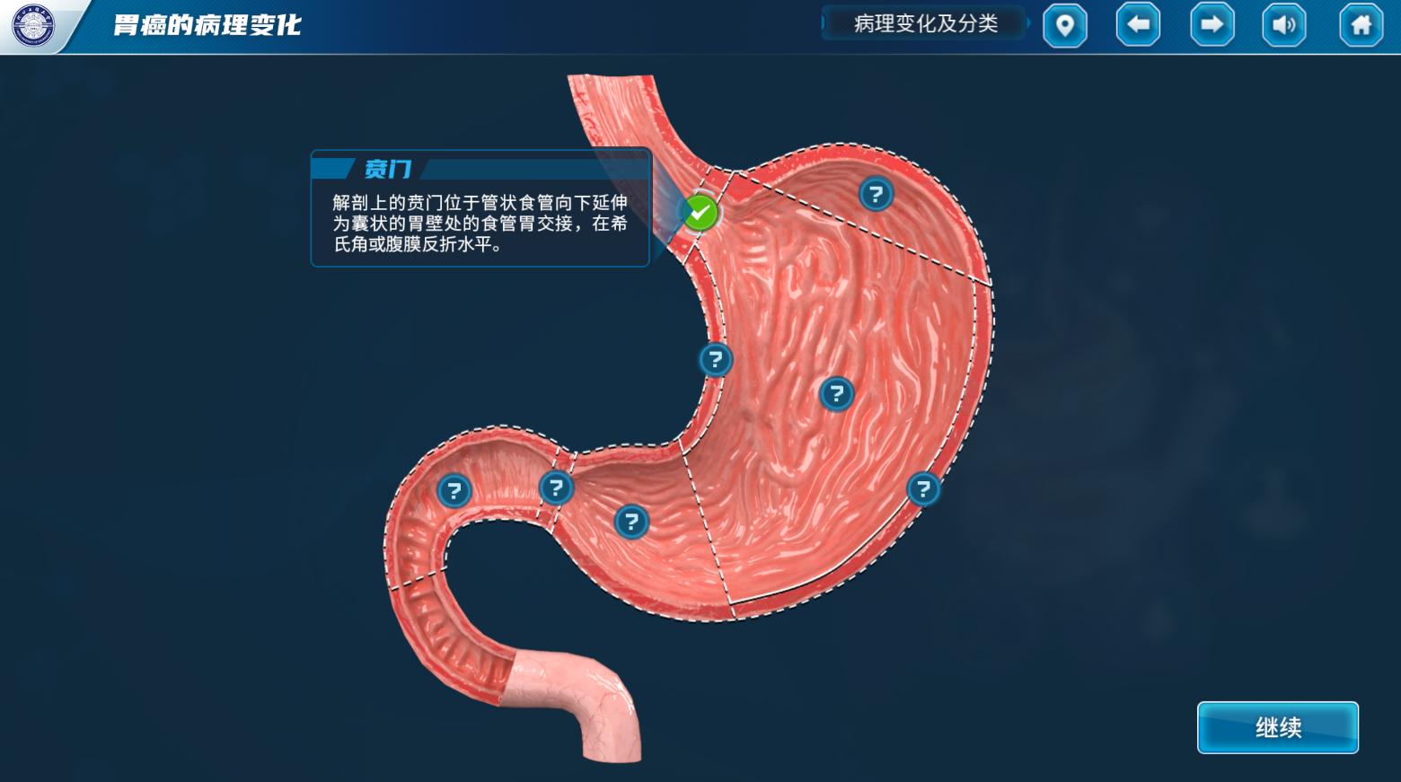实验详情